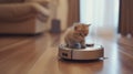 Little kitten riding a robot vacuum cleaner Royalty Free Stock Photo