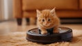 Little kitten riding a robot vacuum cleaner Royalty Free Stock Photo