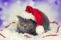 Little kitten wearing Santa Claus hat Royalty Free Stock Photo