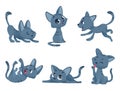 Little kittens. Cats domestic cute and funny little baby animals playing smiling vector characters isolated
