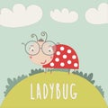 Little lady bug on the lawn
