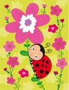 Little ladybird