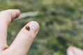 Little ladybug perched on the thumb skin of a girl`s hand Royalty Free Stock Photo