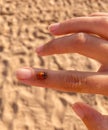 A little ladybug is sitting on the girlÃ¢â¬â¢s hand.