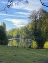 little lagoon between the green forest