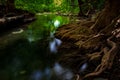 Little lagoon and plant root in arawan water falls national park