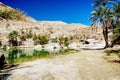 Little lake in the desert oasis - Oman Royalty Free Stock Photo