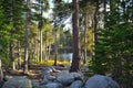 Little lake in the High Sierras Royalty Free Stock Photo