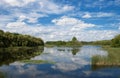 Little Lake (Kis Balaton) Royalty Free Stock Photo