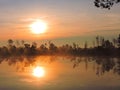 Little lake, plants, sun and beautiful cloudy sky in swamp, Lithuania Royalty Free Stock Photo