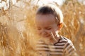 Little laughing boy among ears of wheat field. Happy child with closed eyes, beige ears toutching face. Sunny summer Royalty Free Stock Photo