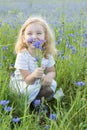 A little laughing girl in a dress and with a bouquet of flowers is sitting in a field with cornflowers Royalty Free Stock Photo