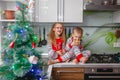 Little laughing twins sit on the table in pajamas in the Christmas decorated kitchen with an Apple. Girl with glasses Royalty Free Stock Photo