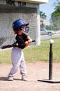 little league Royalty Free Stock Photo