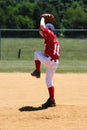 Little League Baseball Royalty Free Stock Photo