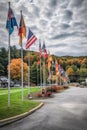 little league baseball field with flags waving Royalty Free Stock Photo