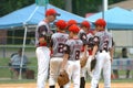 Little league Baseball Game Action Royalty Free Stock Photo