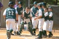 Little league Baseball Game Action Royalty Free Stock Photo