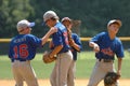 Little league Baseball Game Action Royalty Free Stock Photo