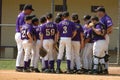 Little league Baseball Game Action