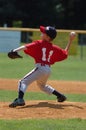 Little league Baseball