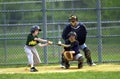 Little league Baseball