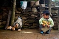 A little Lepcha boy and hen family Royalty Free Stock Photo