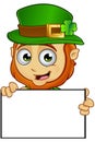 Little Leprechaun Character