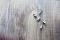 The little light bulbs in the amount of 5 pieces on wooden background