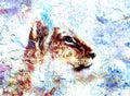 Little lion cub head. animal painting, abstract Royalty Free Stock Photo