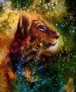 Little lion cub head. animal painting, abstract Royalty Free Stock Photo