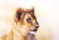 Little lion cub head. animal painting on vintage