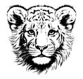 Little lion cub head hand drawn sketch illustration Royalty Free Stock Photo