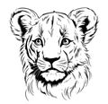 Little lion cub head Royalty Free Stock Photo