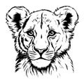 Little lion cub portrait hand drawn sketch illustration Royalty Free Stock Photo