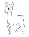 Little Llama Cartoon Animal Illustration BW