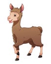 Little Llama Cartoon Animal Illustration