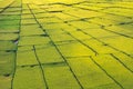 A Little Man Walking in Lingko Spider Web Rice Fields Royalty Free Stock Photo