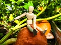 A little man, a wooden toy mannequin in a garden with giant vegetables. The gardener has grown and is harvesting Royalty Free Stock Photo