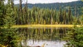 Little McGillivray Lake in the Shuswap Highlands Royalty Free Stock Photo