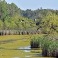 Little Menomonee River in Brown Deer Wisconsin