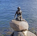 The Little Mermaid Bronze Statue in Copenhagen, Denmark. Royalty Free Stock Photo