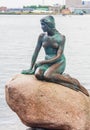 Little Mermaid, Copenhagen. Den Lille Havfrue, a statue by Edvard Eriksen, Langelinie promenade, Copenhagen, Denmark Royalty Free Stock Photo