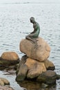 The Little Mermaid in the harbour of Copenhagen