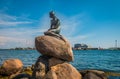 The Little mermaid statue in Copenhagen Denmark. Royalty Free Stock Photo