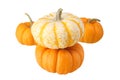 Little miniture pumkins Royalty Free Stock Photo