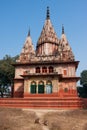 Little monkeys sitting on a path to a Hindu temple