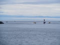 Little Motor boats in the blue ocean bay by the lighthouse with mountains in the back Royalty Free Stock Photo