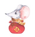 Little mouse sitting in a small red bag with sunflower seed, Chinese New Year of the Rat. Chinese translate Good Luck