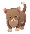 Little Munchkin Cat Cartoon Animal Illustration